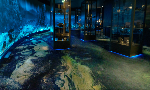 Musée de l'université de Bergen