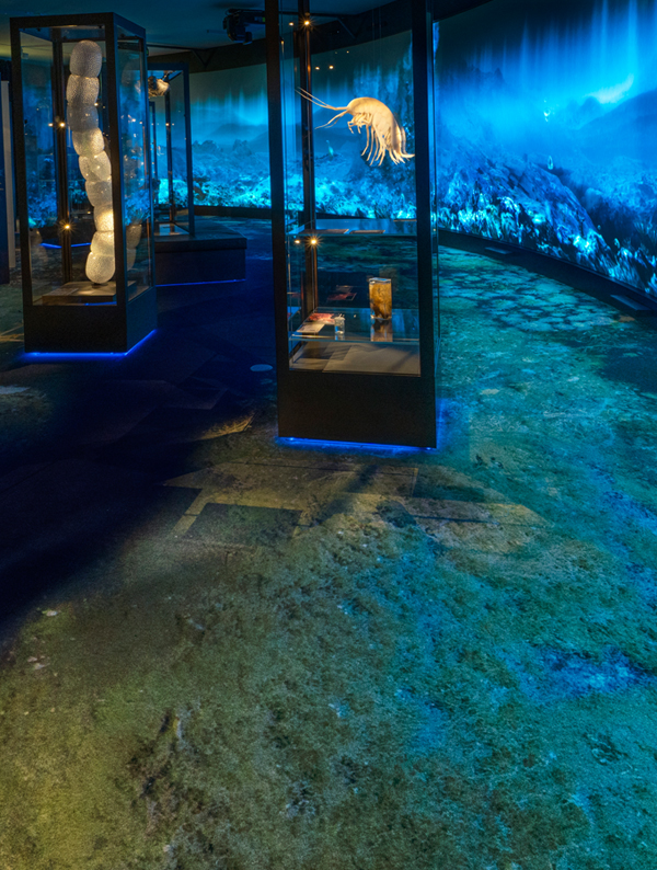 Musée de l'université de Bergen