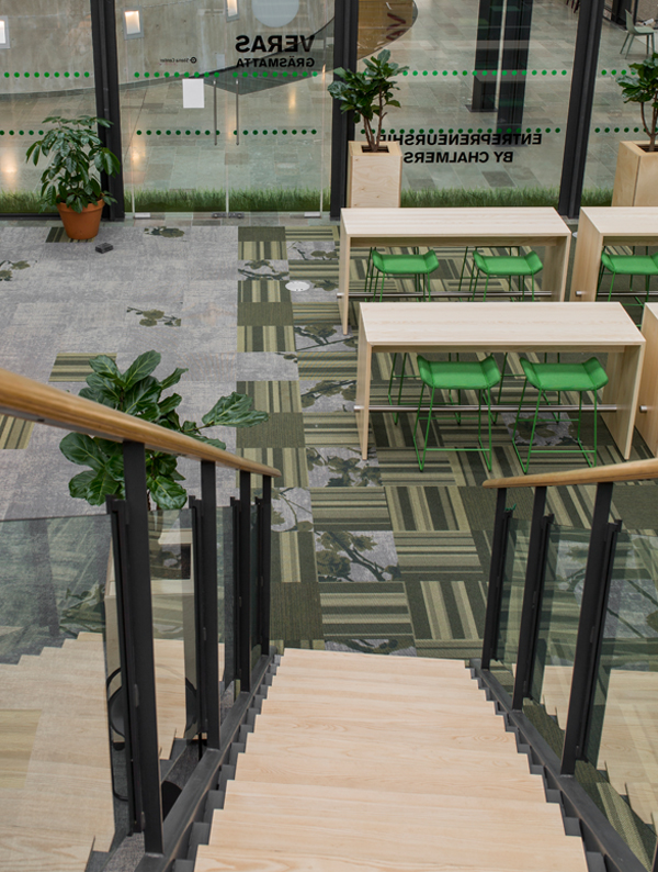 Chalmers University - Vera's lawn