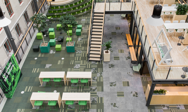 Chalmers University - Vera's lawn