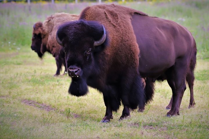 Responsabilité de l’entreprise