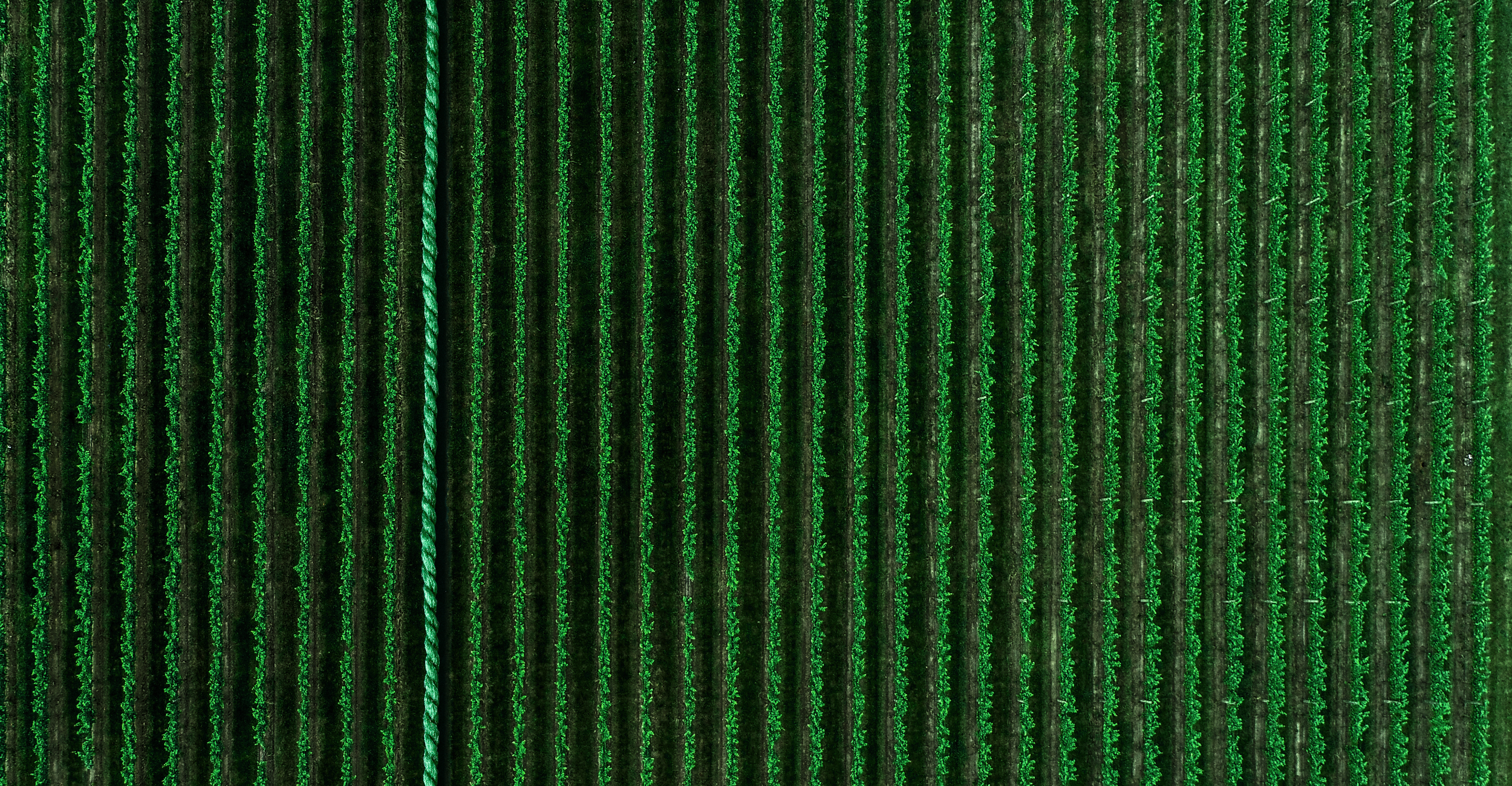 NOUS SOMMES FORTS D’UNE EXPÉRIENCE DE PLUSIEURS DÉCENNIES EN TERMES D’ÉCORESPONSABILITÉ