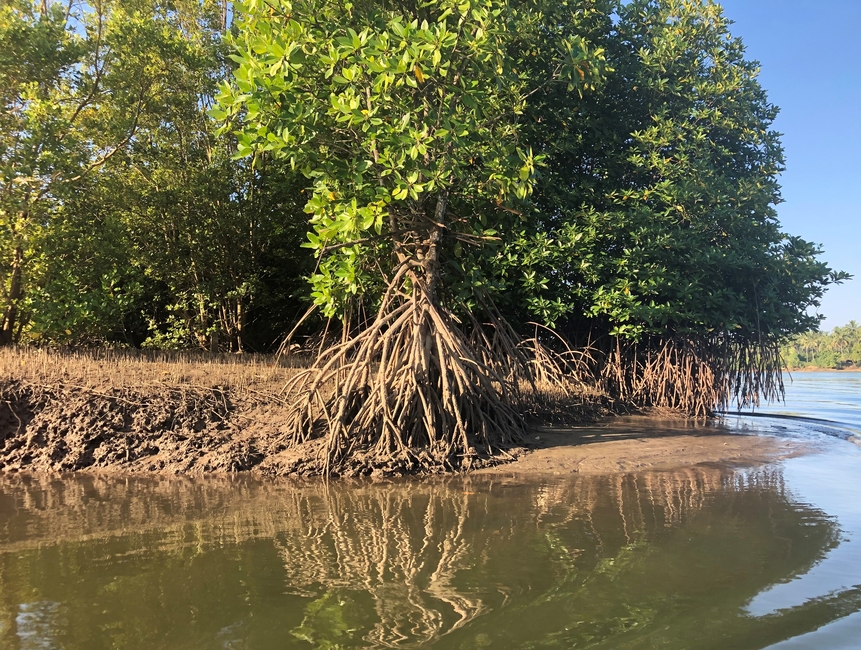Certificat climatique