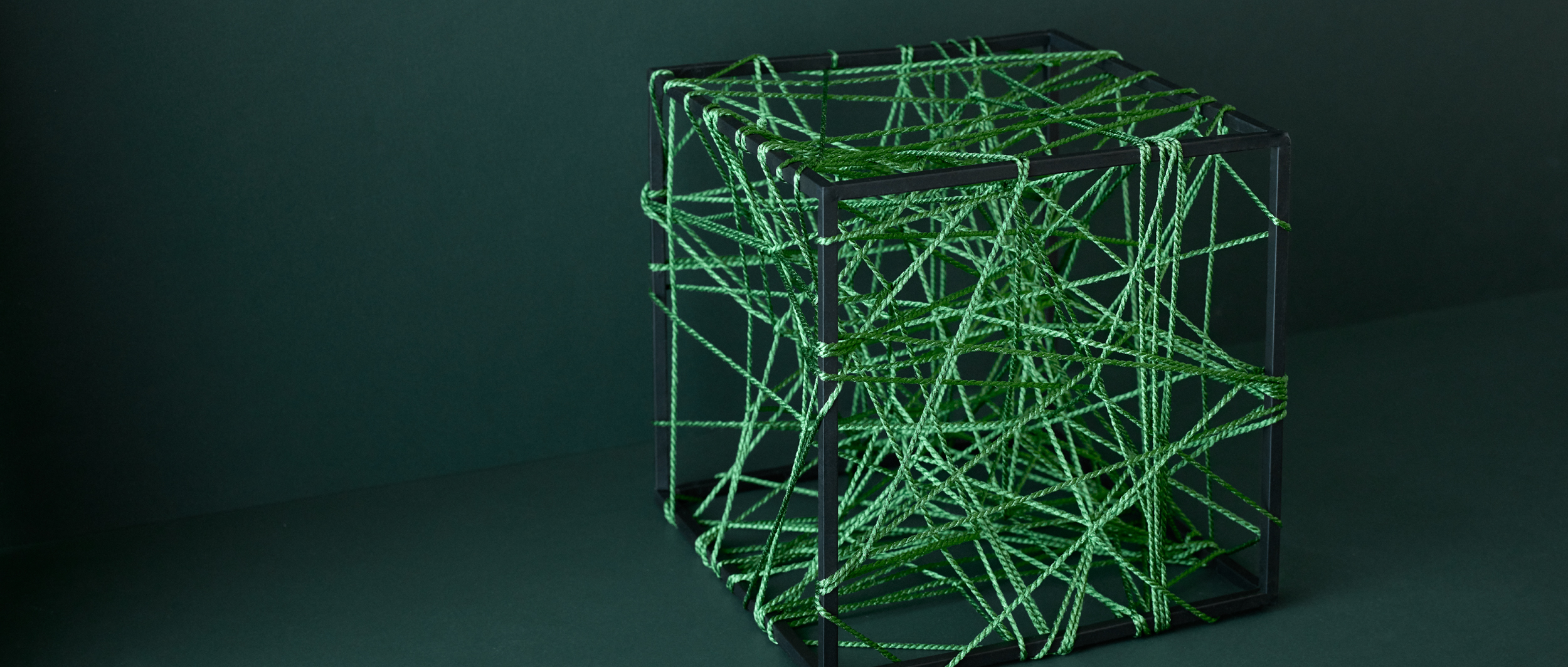 La durabilité n'est pas une option. Elle fait partie de nos valeurs.