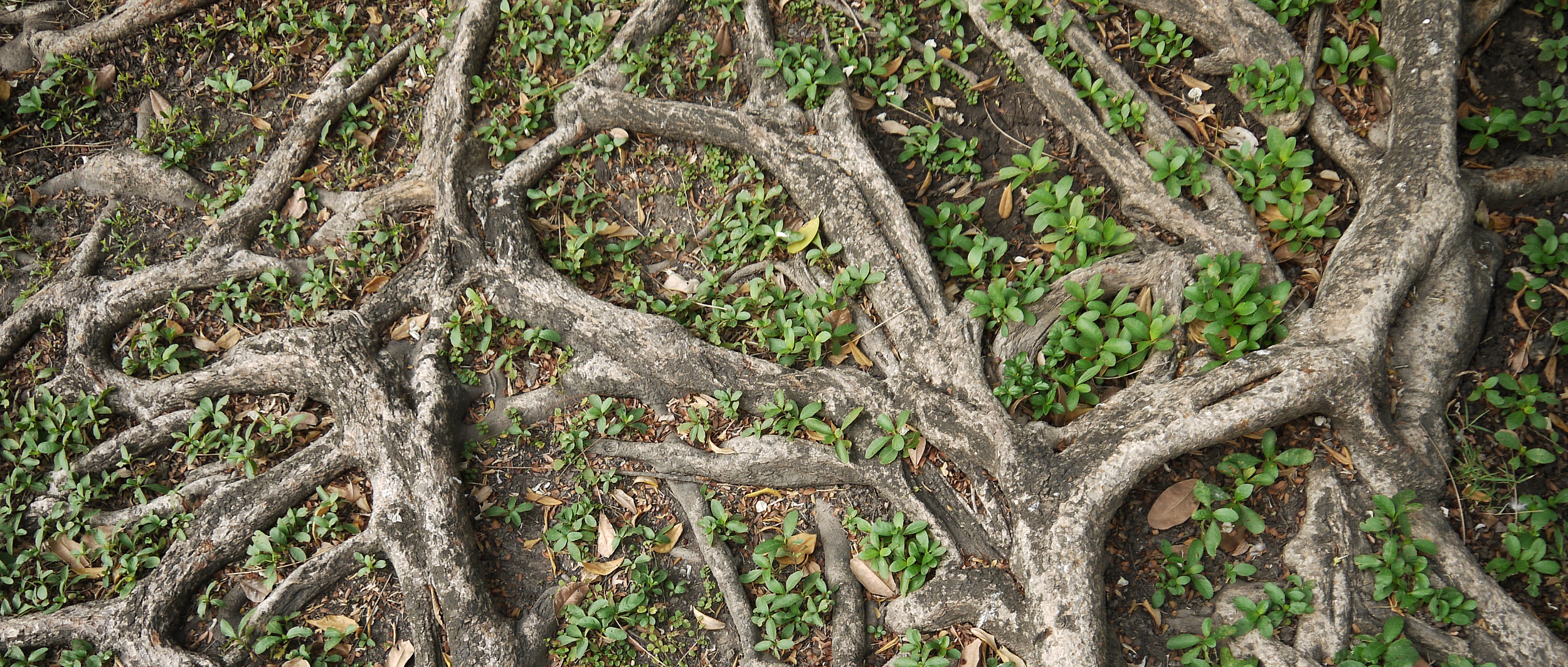 Soyez le pionnier du design durable