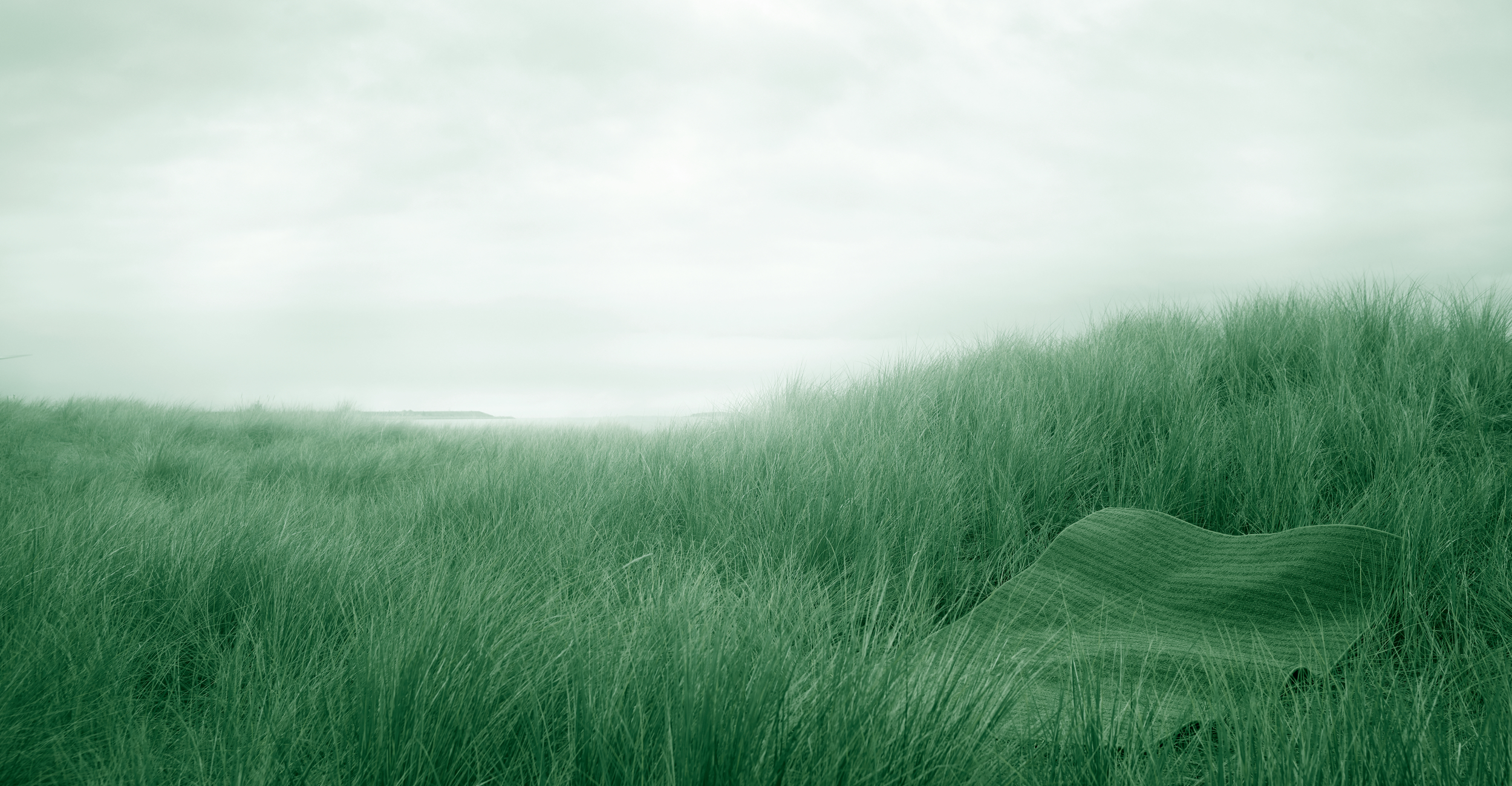 Nous avons un réve et il est vert