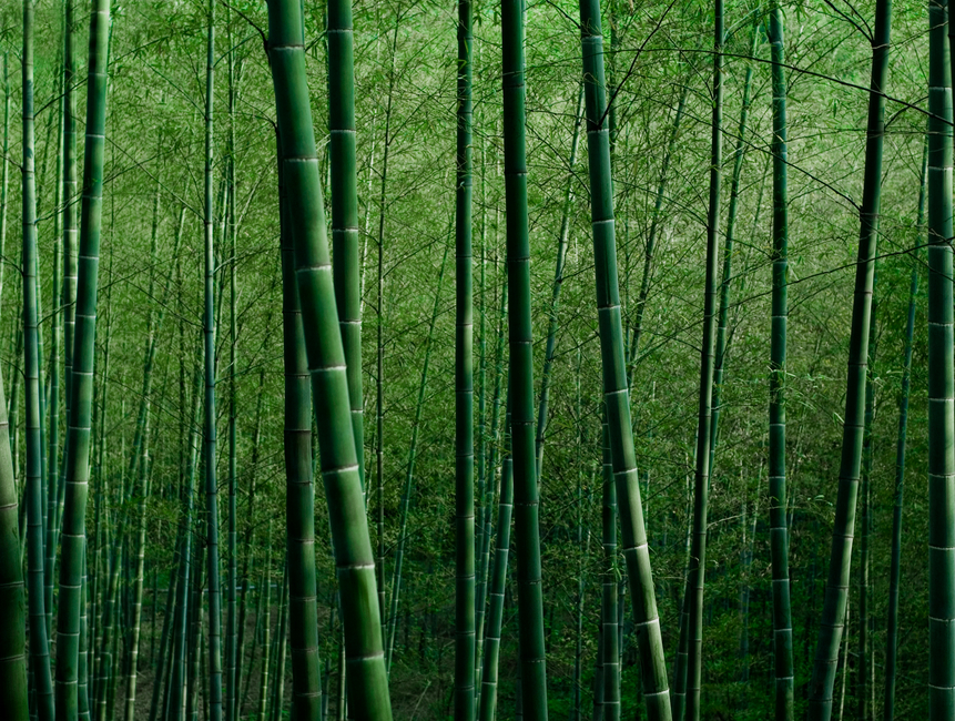 L'éthique, un paramètre commercial