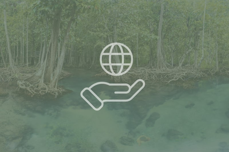 Responsabilité de l’entreprise