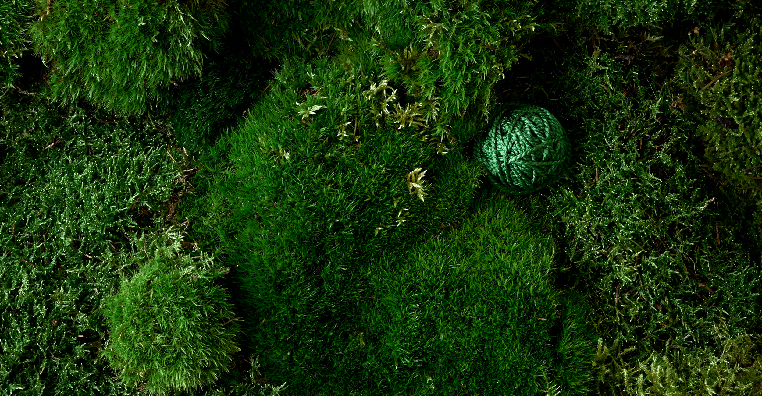 Le pacte mondialde l’ONU