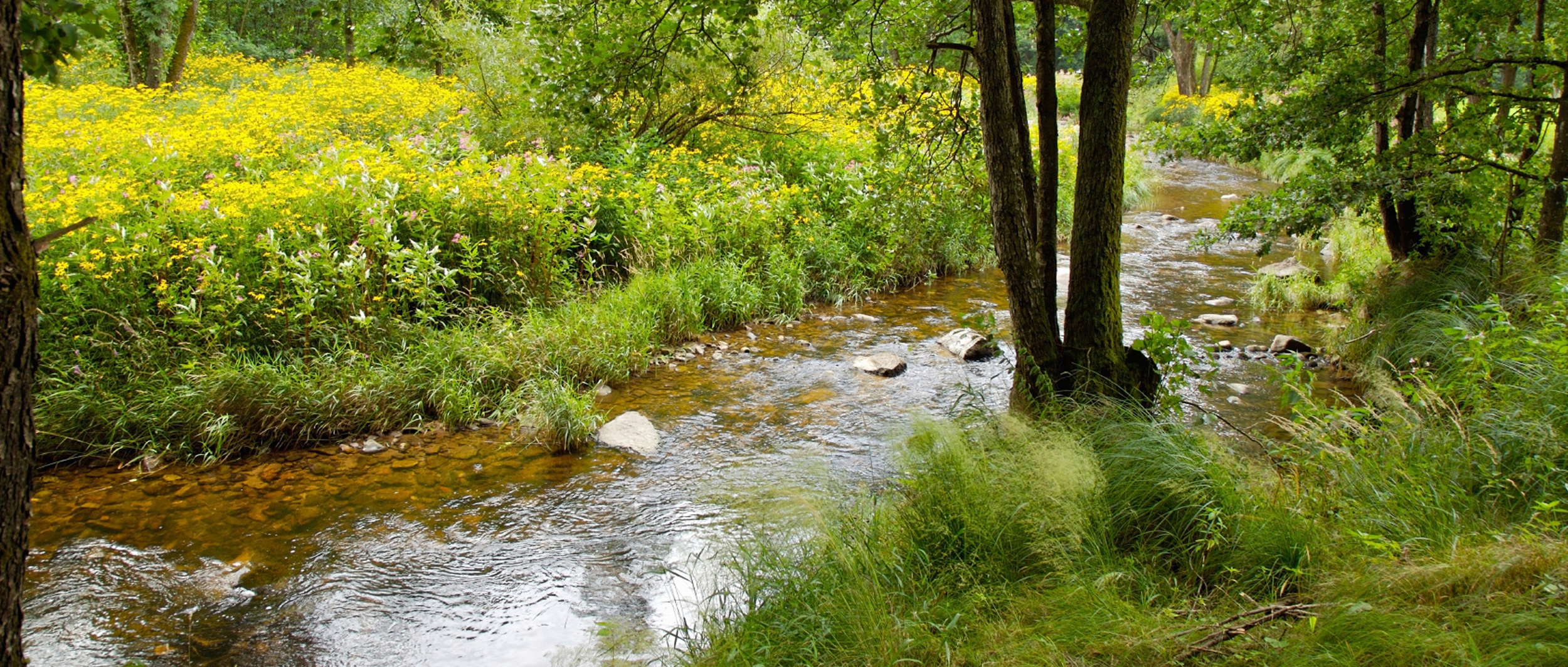 Du déchet à<br> la ressource
